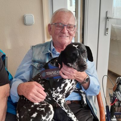 Penny kutya kalandjai a csepeli Olajág Otthonban