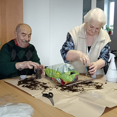 Luca-napi búzavetés