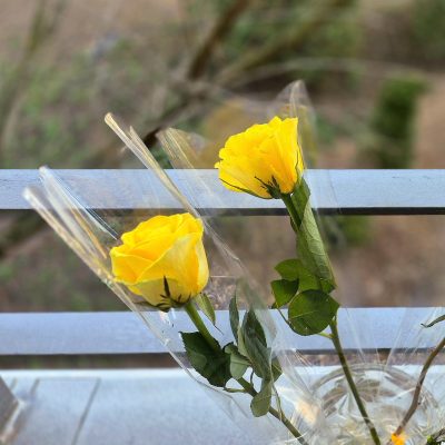 Nőnap az Olajág Otthonokban