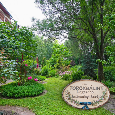 A legszebb intézményi kert díját nyerte törökbálinti otthonunk