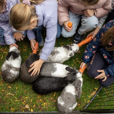 Generációk találkozása, állatsimogató Zuglóban